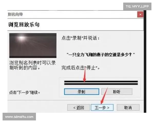 MorphVox Pro使用技巧大全：提升语音变换效果的实用操作指南