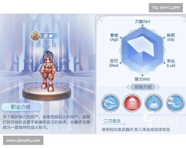 刺客职业提升伤害与生存能力的技巧与策略全面解析