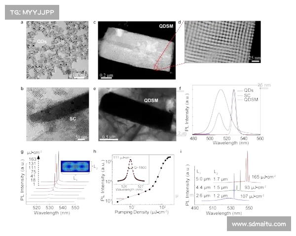 冰虫鳞片结构特性及其在生物材料开发中的应用研究 冰虫鳞片结构特性及其在生物材料开发中的应用研究