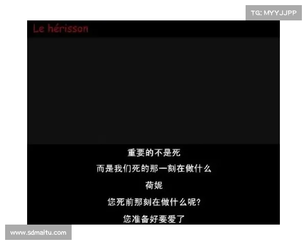 天台爱情的故事与象征意义解析深度探讨