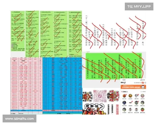 五大联赛各具特色的魅力所在探讨与比较