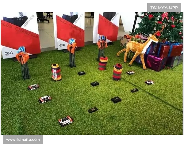 揭秘建业足球俱乐部的五个关键步骤 探索其背后的成功与挑战