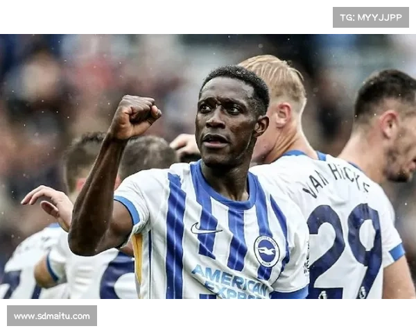 揭秘维尔贝克为何被称为黑贝及其背后的文化含义与起源分析